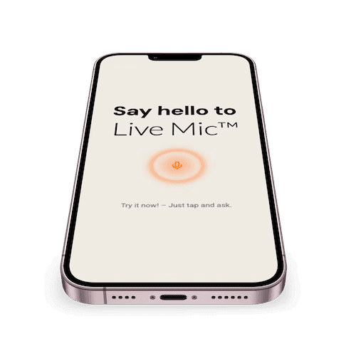 Ai Voice Web Widget Live Mic